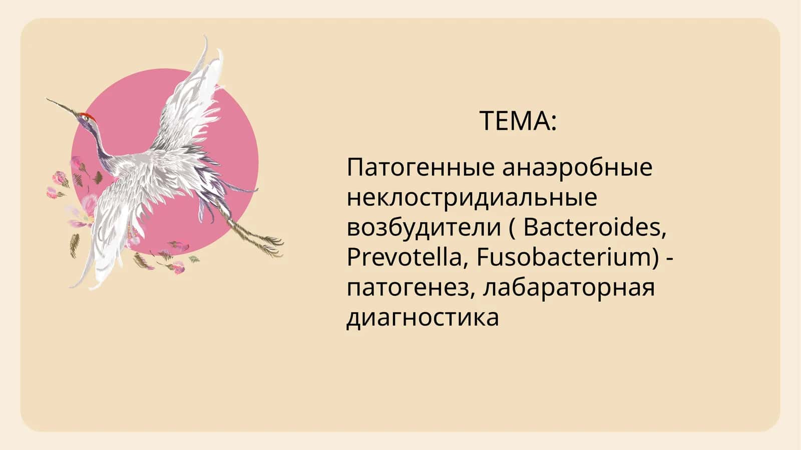 Патогенные анаэробные неклостридиальные возбудители ( Bacteroides, Prevotella, Fusobacterium) - патогенез, лабараторная диагностика 1