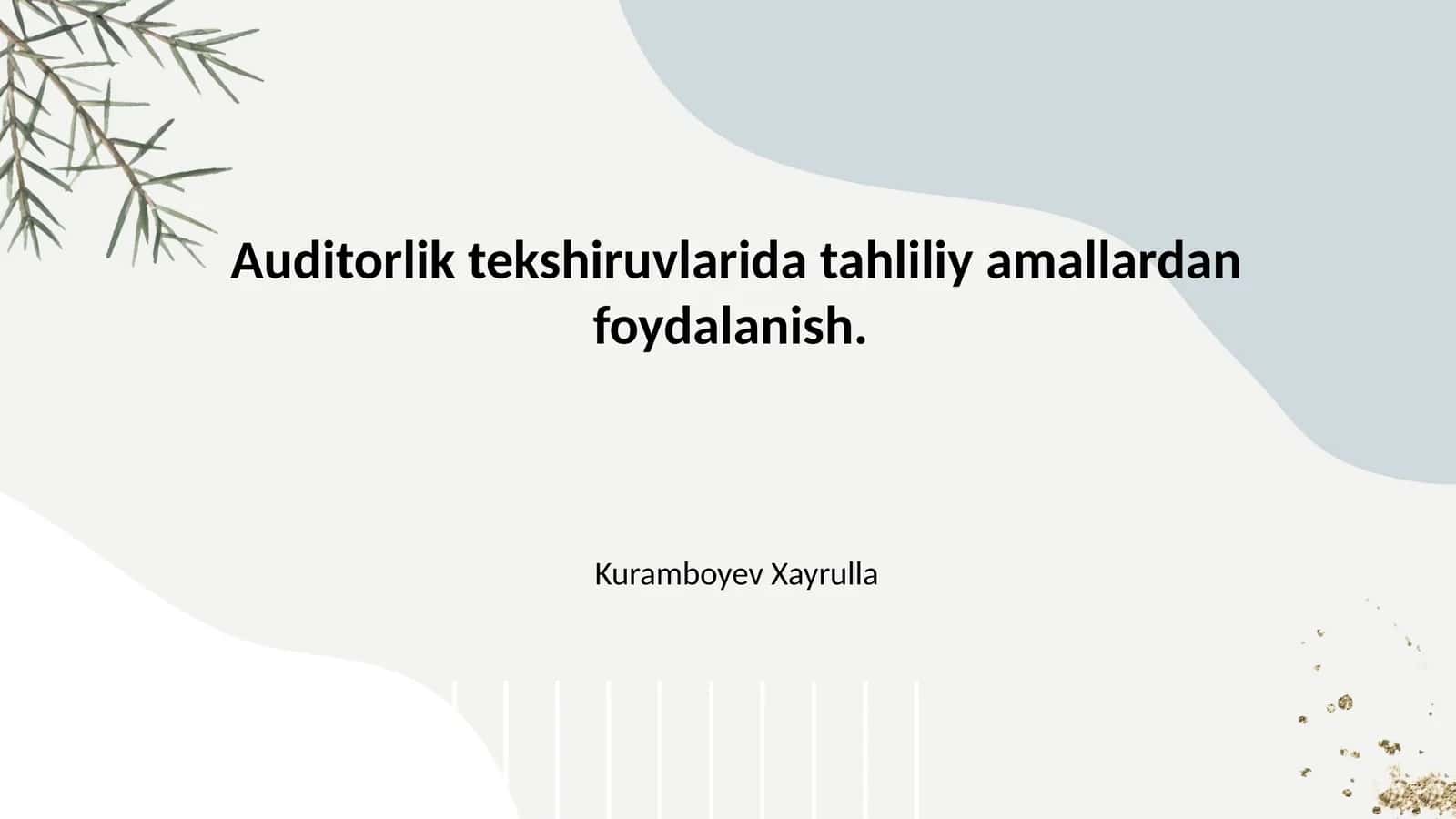 Auditorlik tekshiruvlarida tahliliy amallardan foydalanish. 1