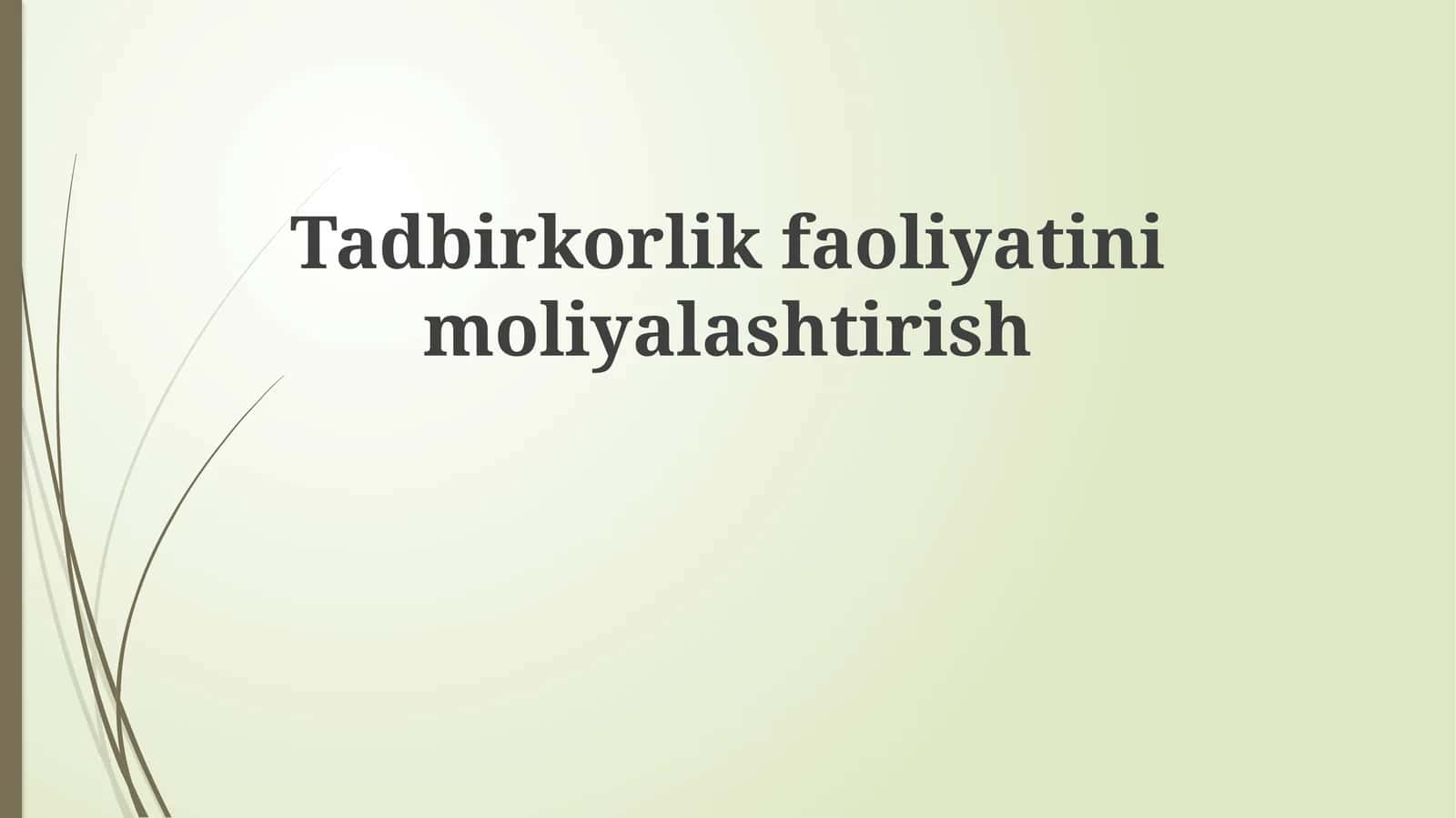 Tadbirkorlikfaoliyatinimoliyalashtirish 1