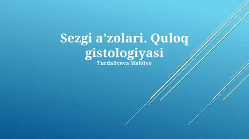 Sezgi aʼzolari. Quloq gistologiyasi 1