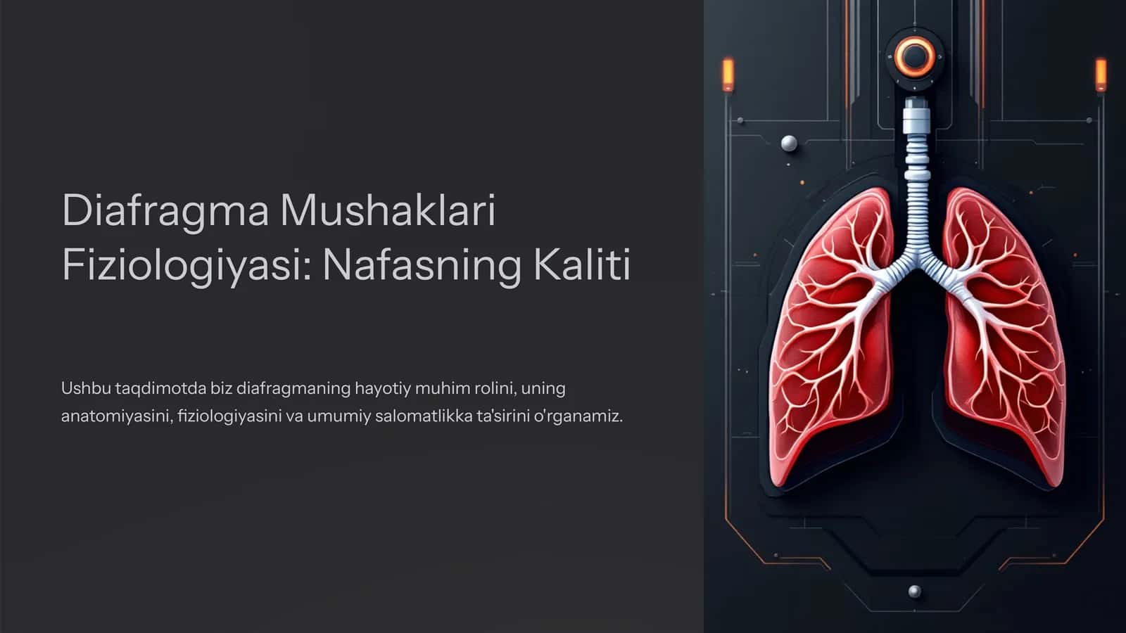 Diafragma Mushaklari Fiziologiyasi: Nafasning Kaliti 1