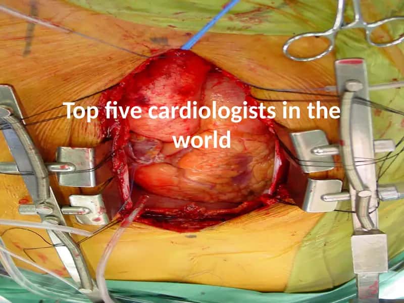 Cardiologists 1