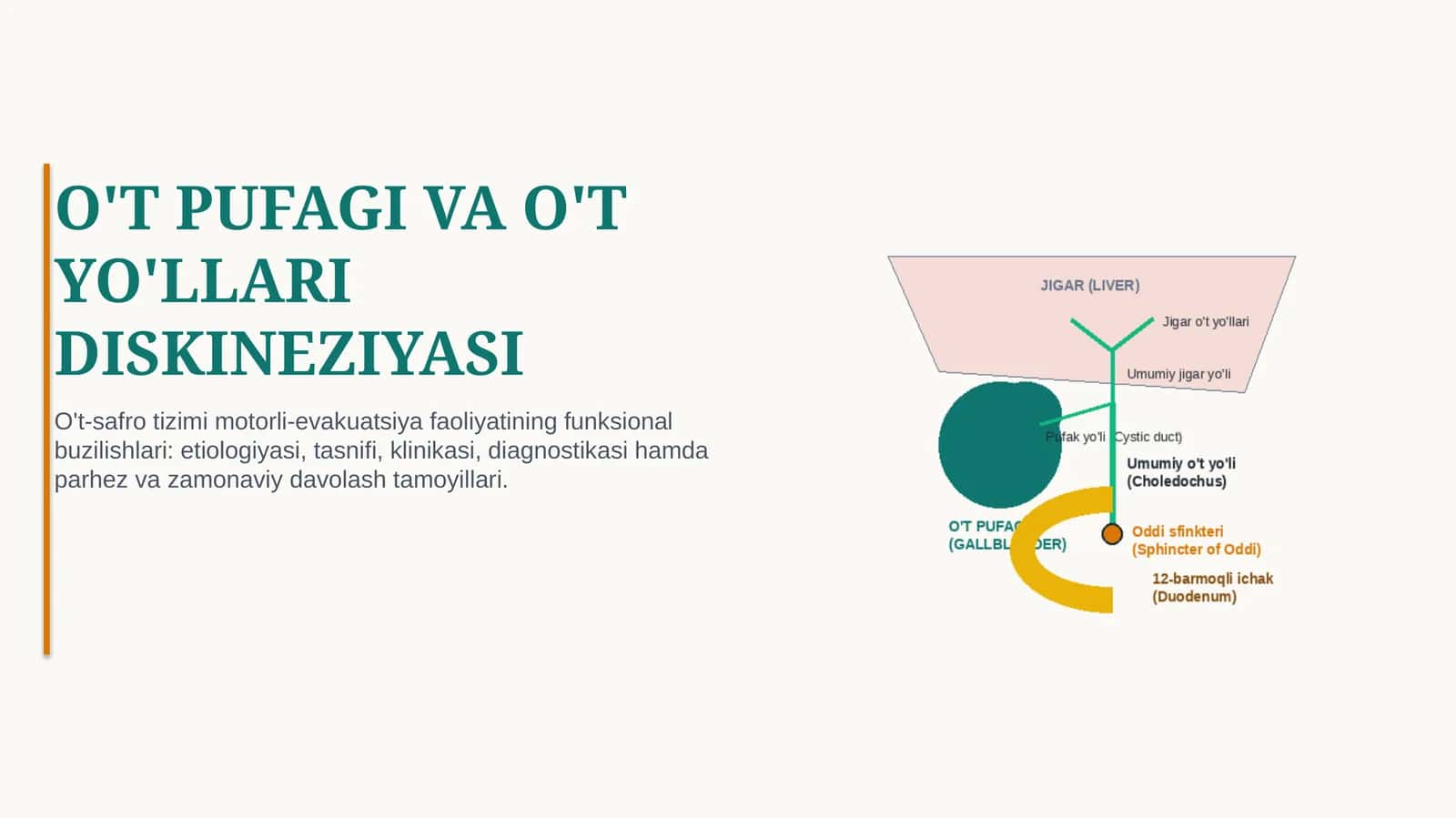 O‘T PUFAGI DISKINEZIYASI — SABABLARI, BELGILARI, TASHXISI VA DAVOLASH | 15 SLAYDLI TIBBIY TAQDIMOT 1