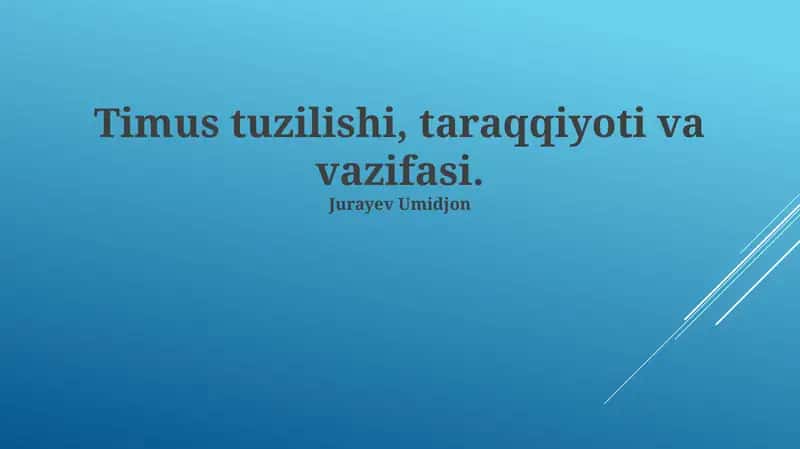 Timus tuzilishi, taraqqiyoti va vazifasi 1