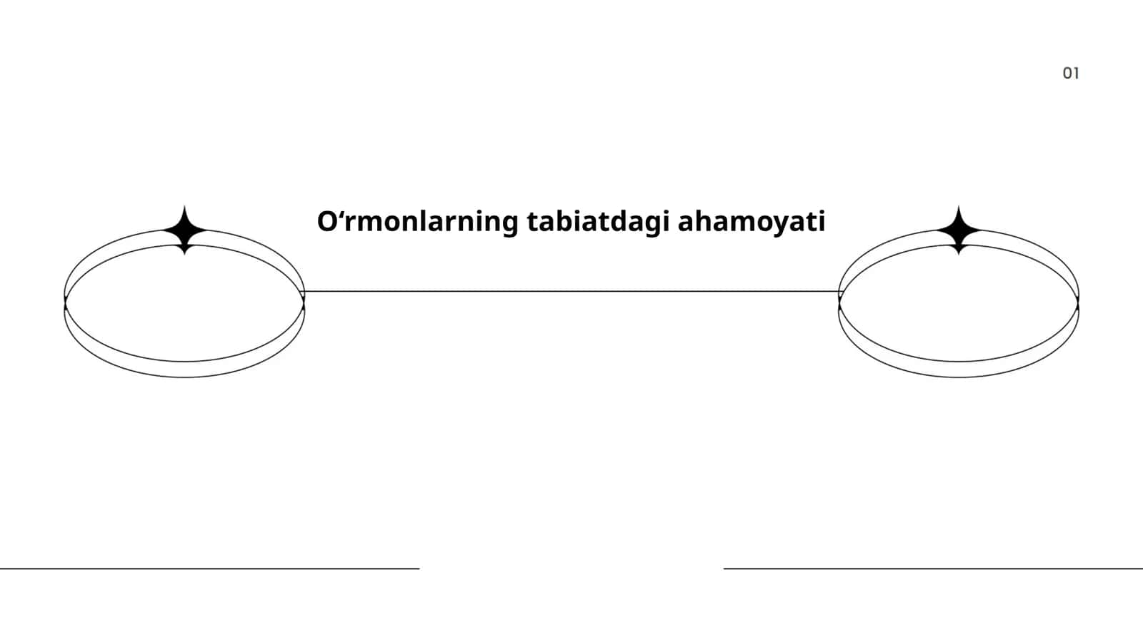 O‘rmonlarning tabiatdagi ahamoyati 1