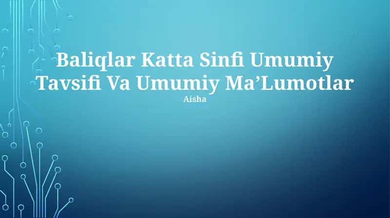 Baliqlar Katta Sinfi Umumiy Tavsifi Va Umumiy Ma'lumotlar 1