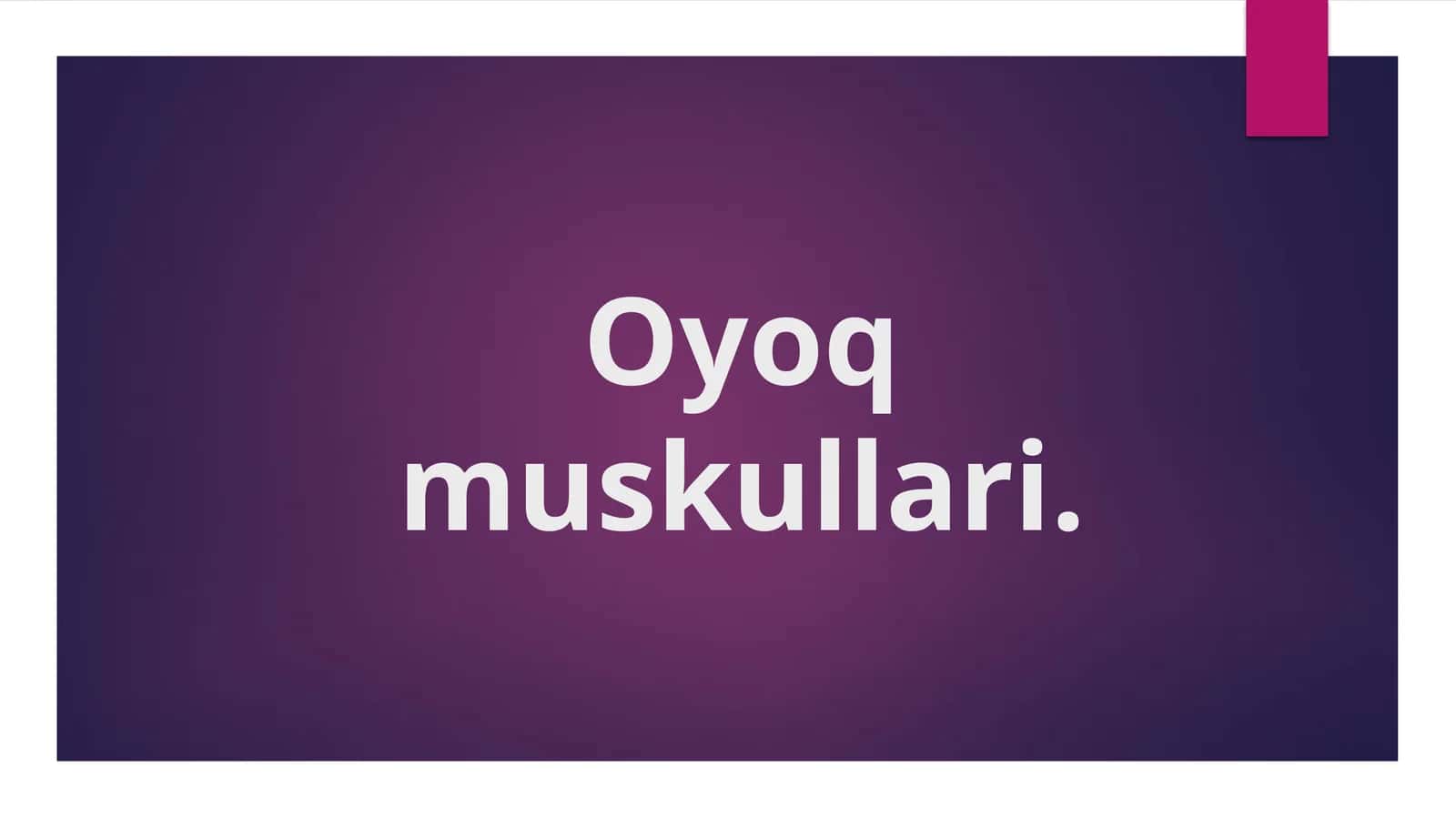 Oyoq muskullari 1