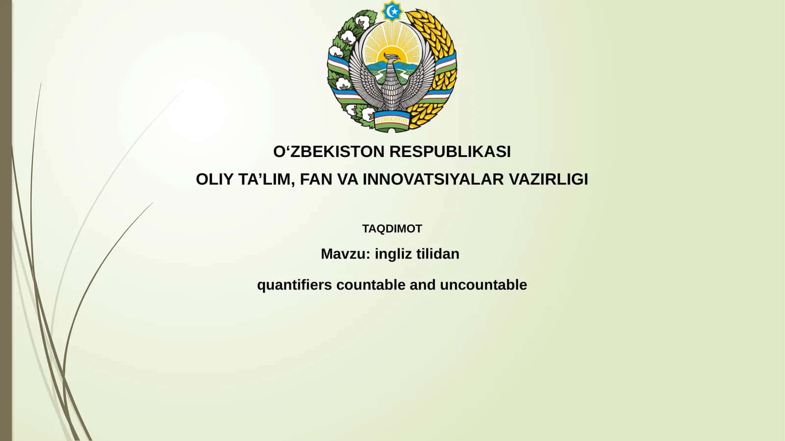ingliztilidanquantifiers countable and uncountable 1