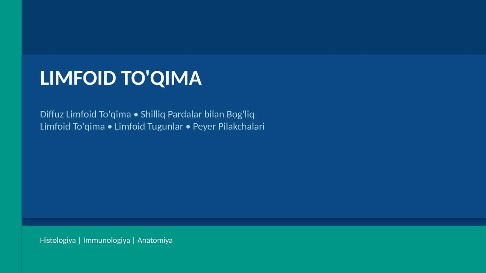 LIMFOID TO'QIMA 1