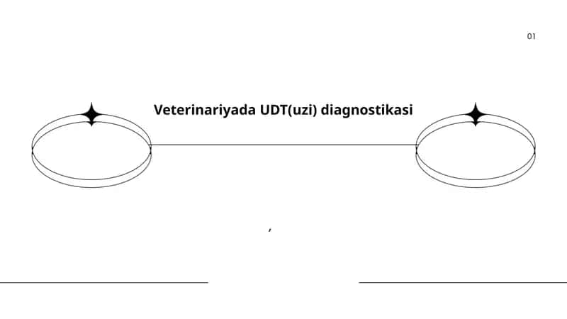 Veterinariyada UDT(uzi) diagnostikasi 1