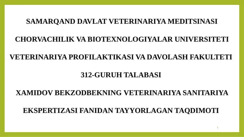 Saryog'ning veterinariya-sanitariya ekspertizasi 1