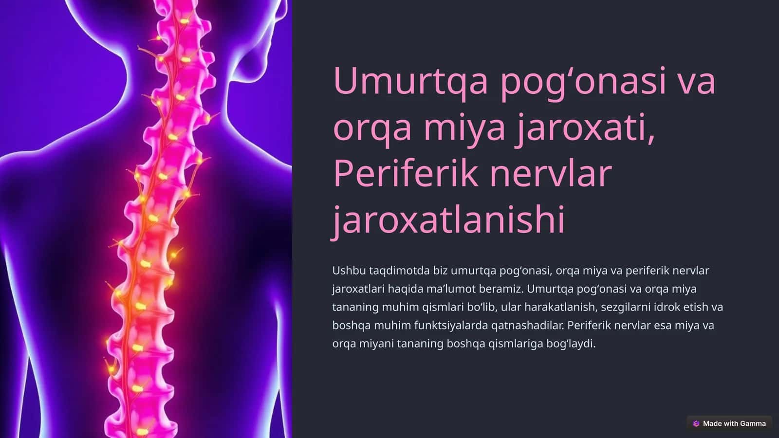 Umurtqa pogʻonasi va orqa miya jaroxati, Periferik nervlar jaroxatlanishi 1
