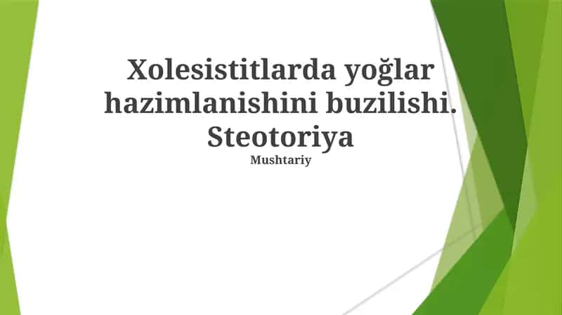 Steotoriya 1