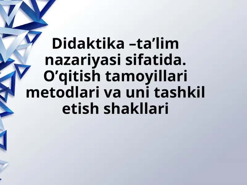 Didaktika –ta’lim nazariyasi sifatida. O’qitish tamoyillari metodlari va uni tashkil etish shakllari 1