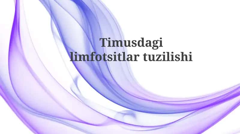 Timusdagi limfotsitlar tuzilishi 1