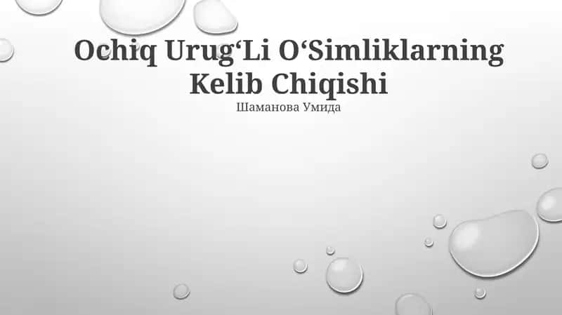 Ochiq UrugʻLi OʻSimliklarning Kelib Chiqishi 1