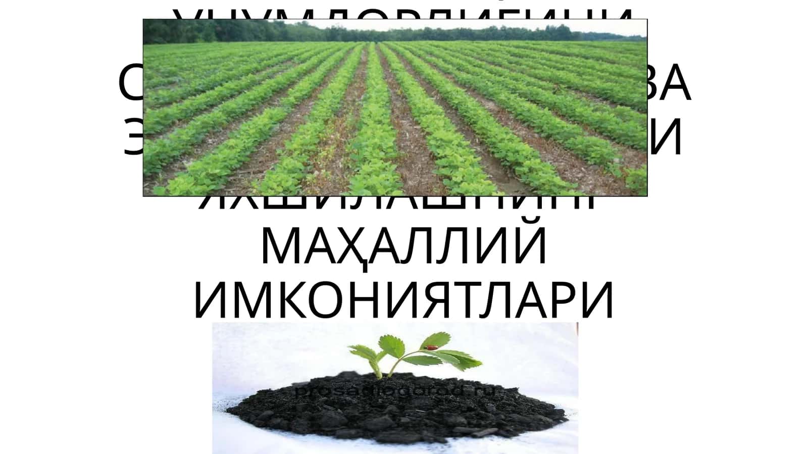 ТУПРОҚ УНУМДОРЛИГИНИ САҚЛАШ, ОШИРИШ ВА ЭКОЛОГИК ҲОЛАТИНИ ЯХШИЛАШНИНГ МАҲАЛЛИЙ ИМКОНИЯТЛАРИ 1