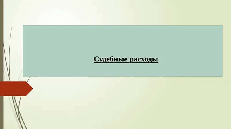 Судебные расходы 1