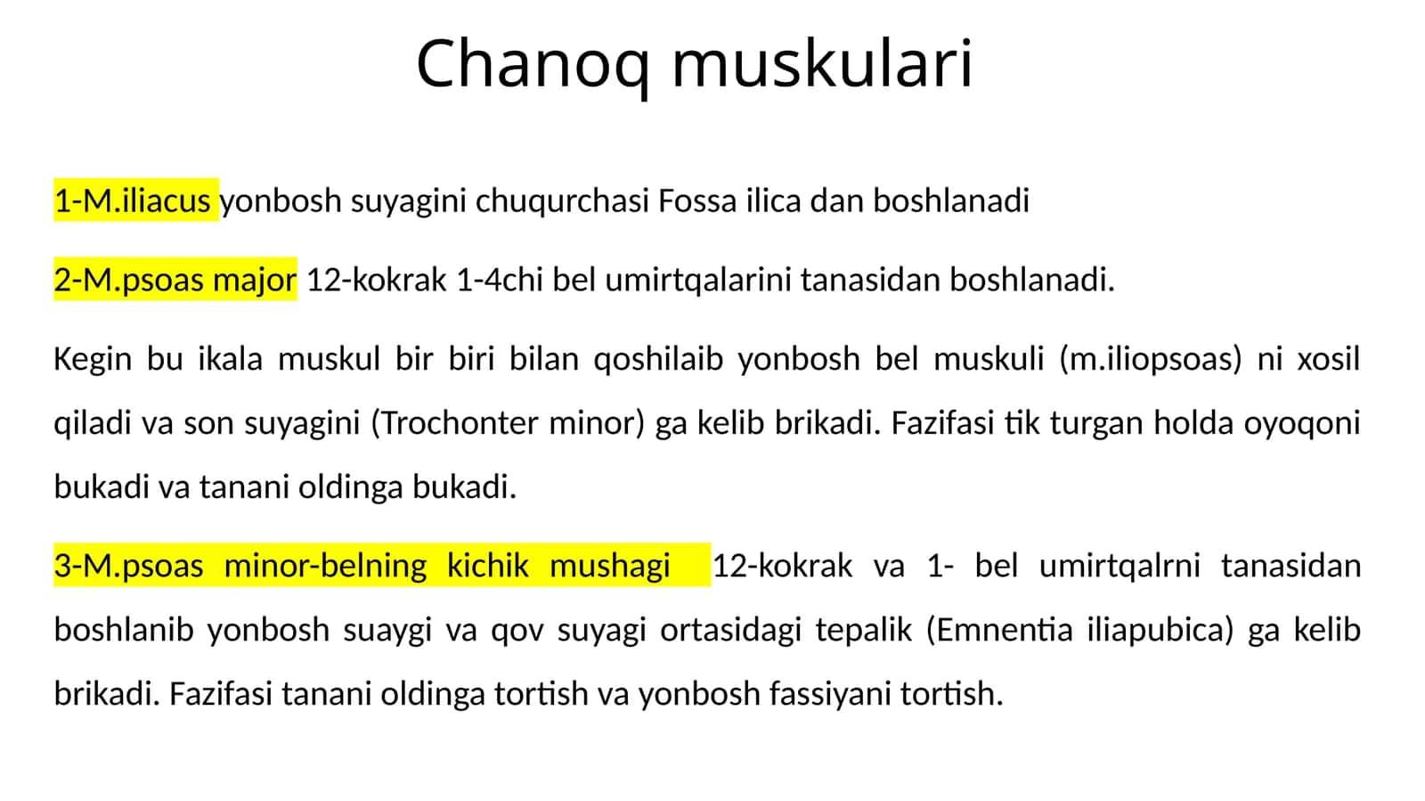 Chanoqmuskulari 1
