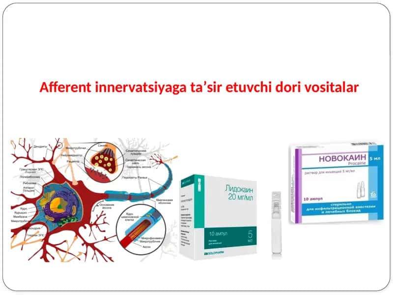 Afferent innervatsiyaga taʼsir etuvchi dori vositalar 1