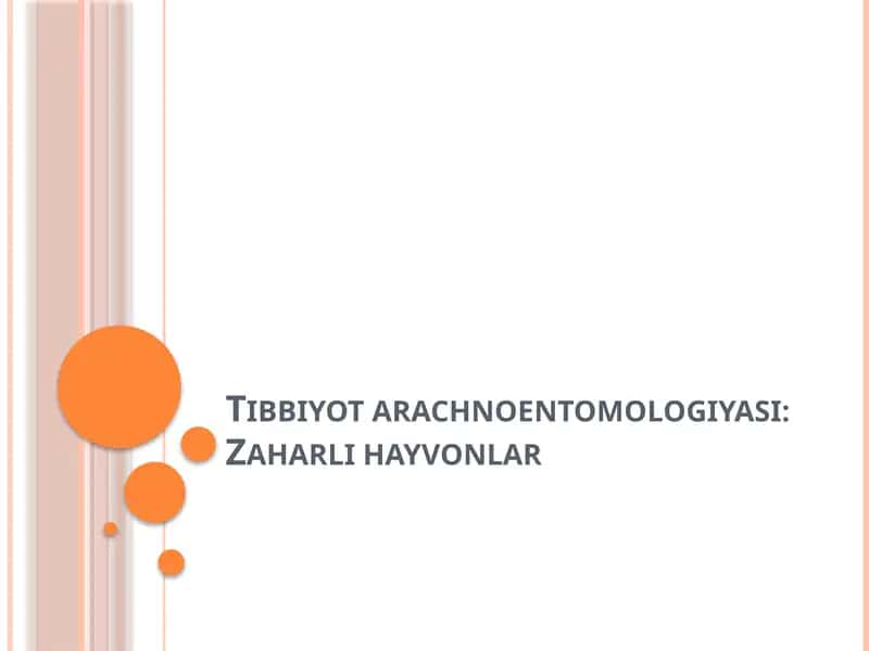 "Zaharli hayvonlar" mavzusida prezentatsiya-mustaqil ish. 1
