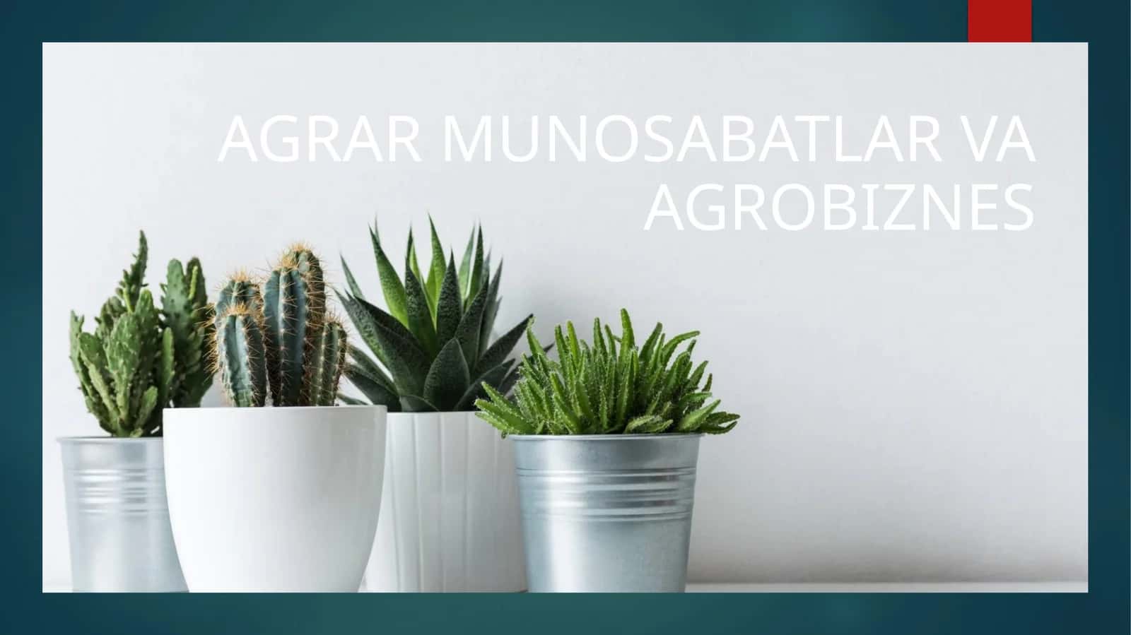 AGRAR MUNOSABATLAR VA AGROBIZNES 1