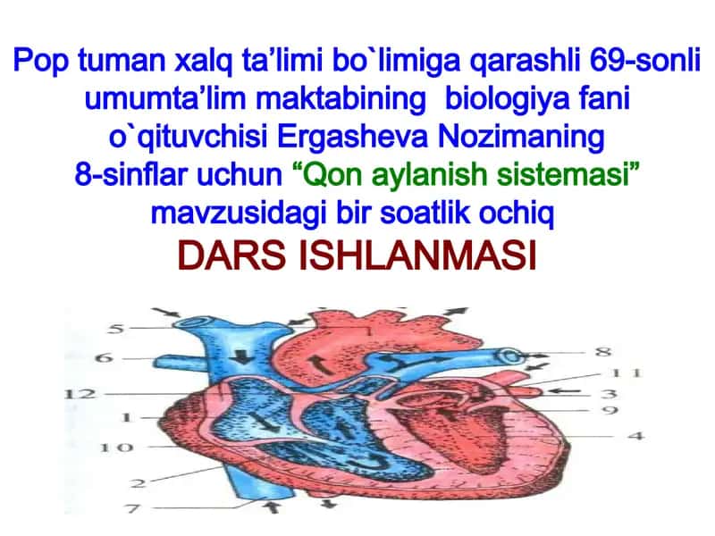 Qon aylanish sistemasi 1