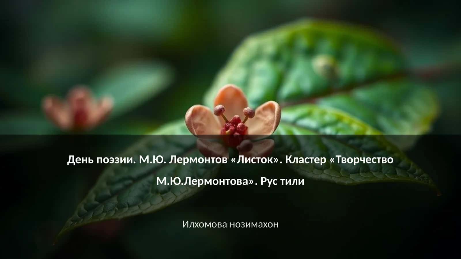 День поэзии. М.Ю. Лермонтов «Листок» 1