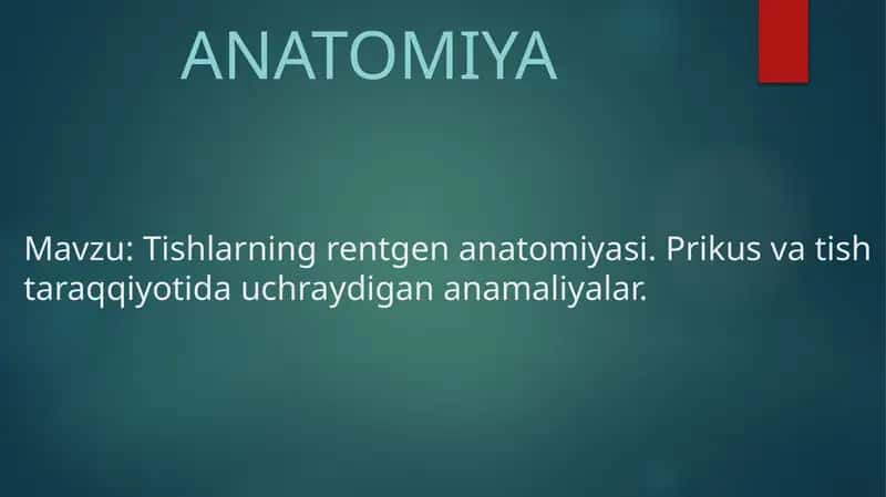 Tishlarning rentgenanatomiyasi 1