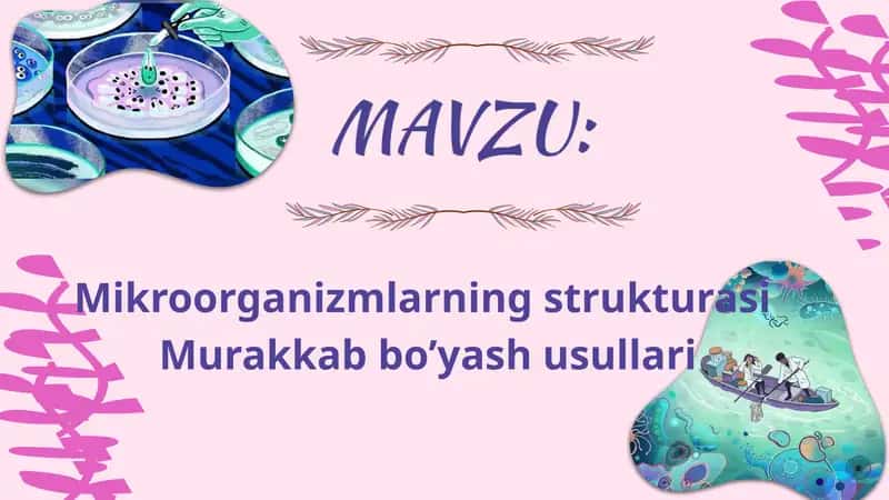 Mikroorganizmlarning strukturasi. Murakkab bo'yash usullariari 1