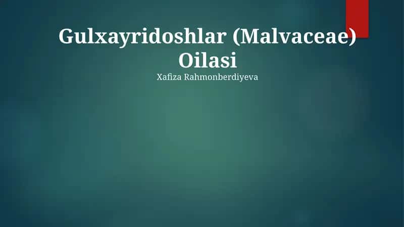 Gulxayridoshlar (Malvaceae) Oilasi 1