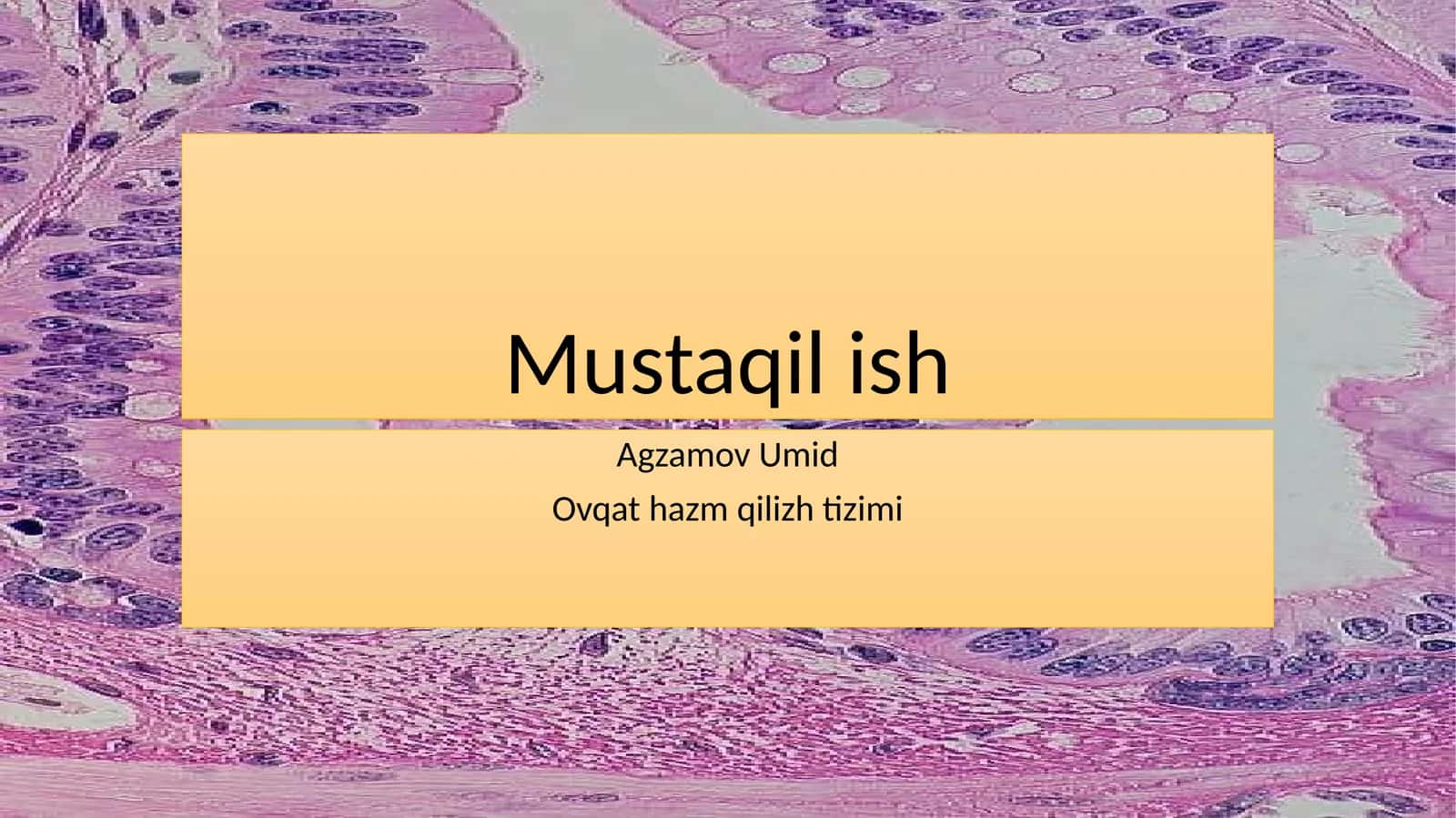 Ovqathazm qilish tizimi 1