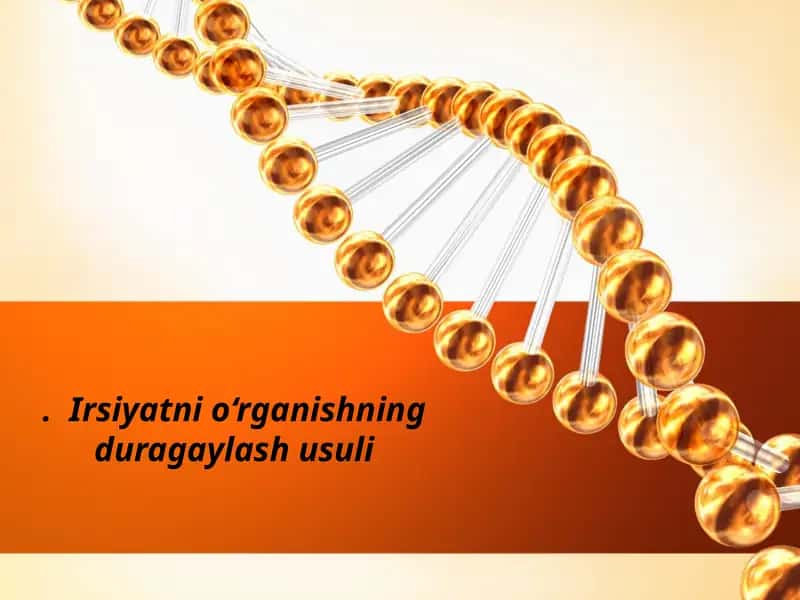 irsiyatni oʻrganishni duragaylash usuli 1