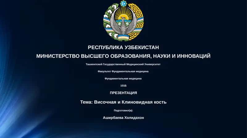 Презентация: Височная и Клиновидная кость 1