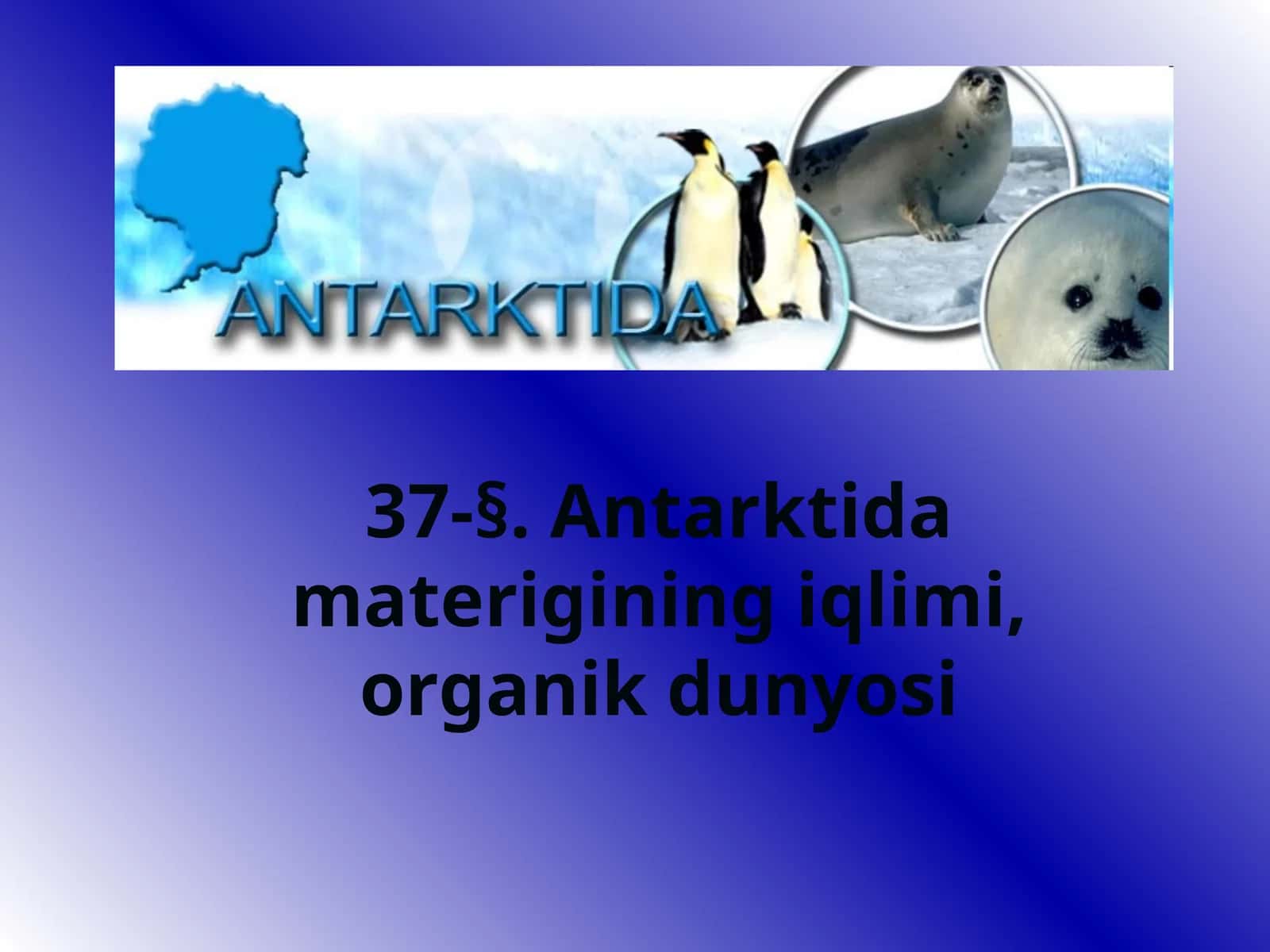 Antarktida materigining iqlimi, organik dunyosi 1