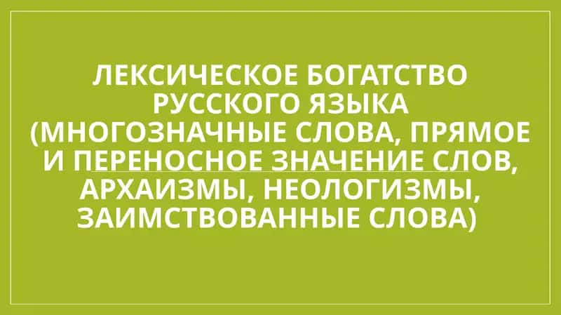 Лексическое богатство русского языка (многозначные слова, прямое и переносное значение слов, архаизмы, неологизмы, заимствованные слова) 1
