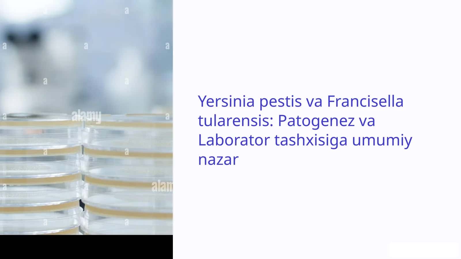 Yersinia pestis va Francisella tularensis: Patogenez va Laborator tashxisiga umumiy nazar 1