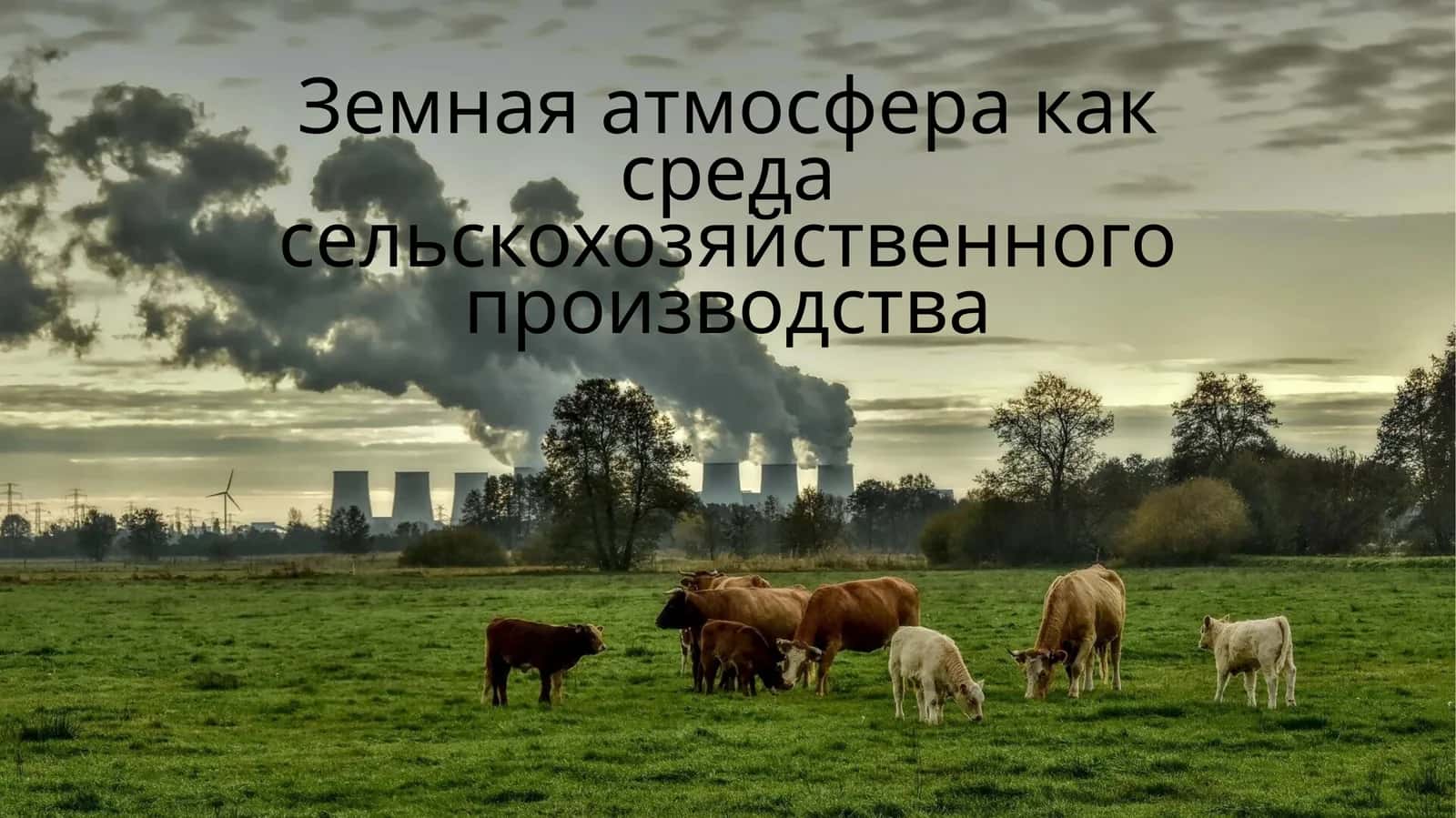 Атмосфера как среда сельскохозяйственного производства 1