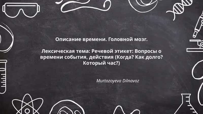 Описание времени. Головной мозг 1