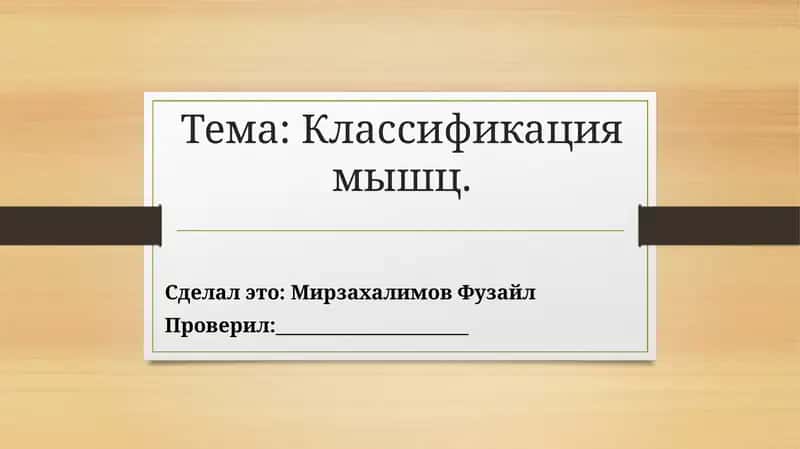 Классификация мышц 1