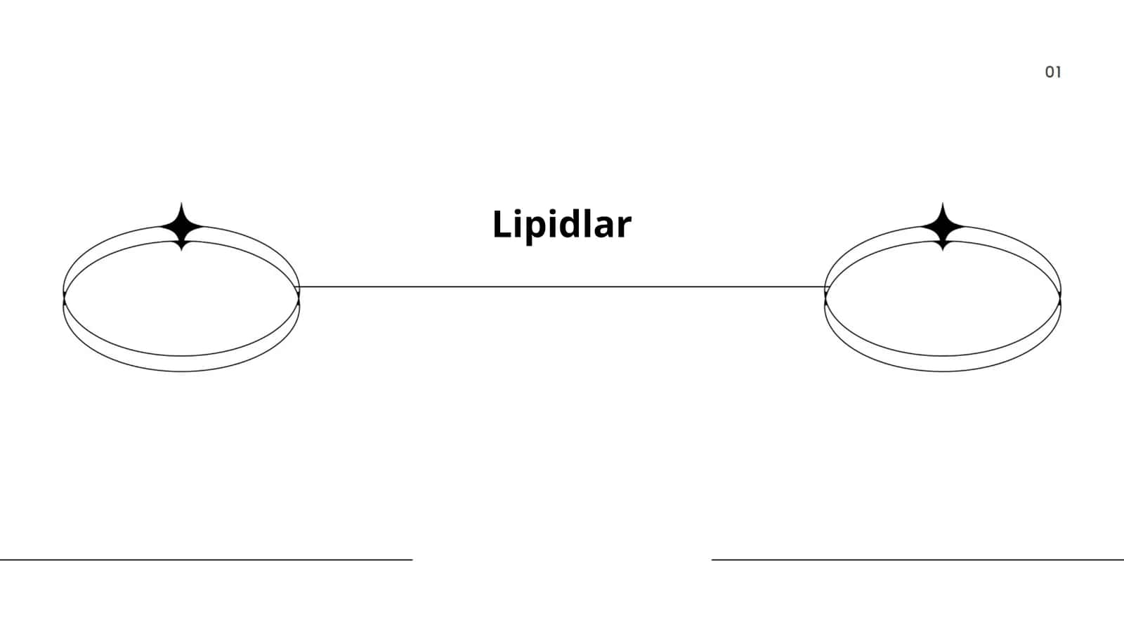 Lipidlar 1