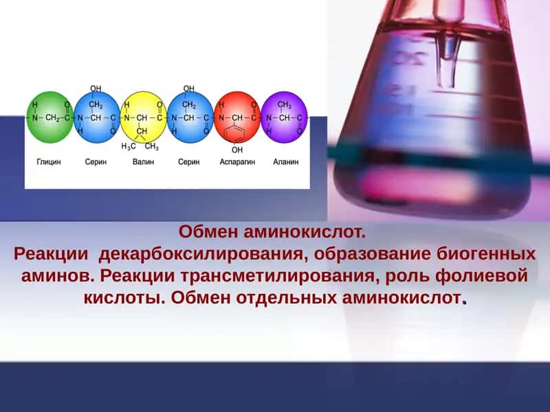Обмен аминокислот 1