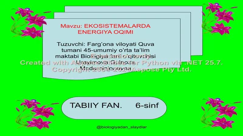 EKOSISTEMALARDA ENERGIYA OQIMI 1