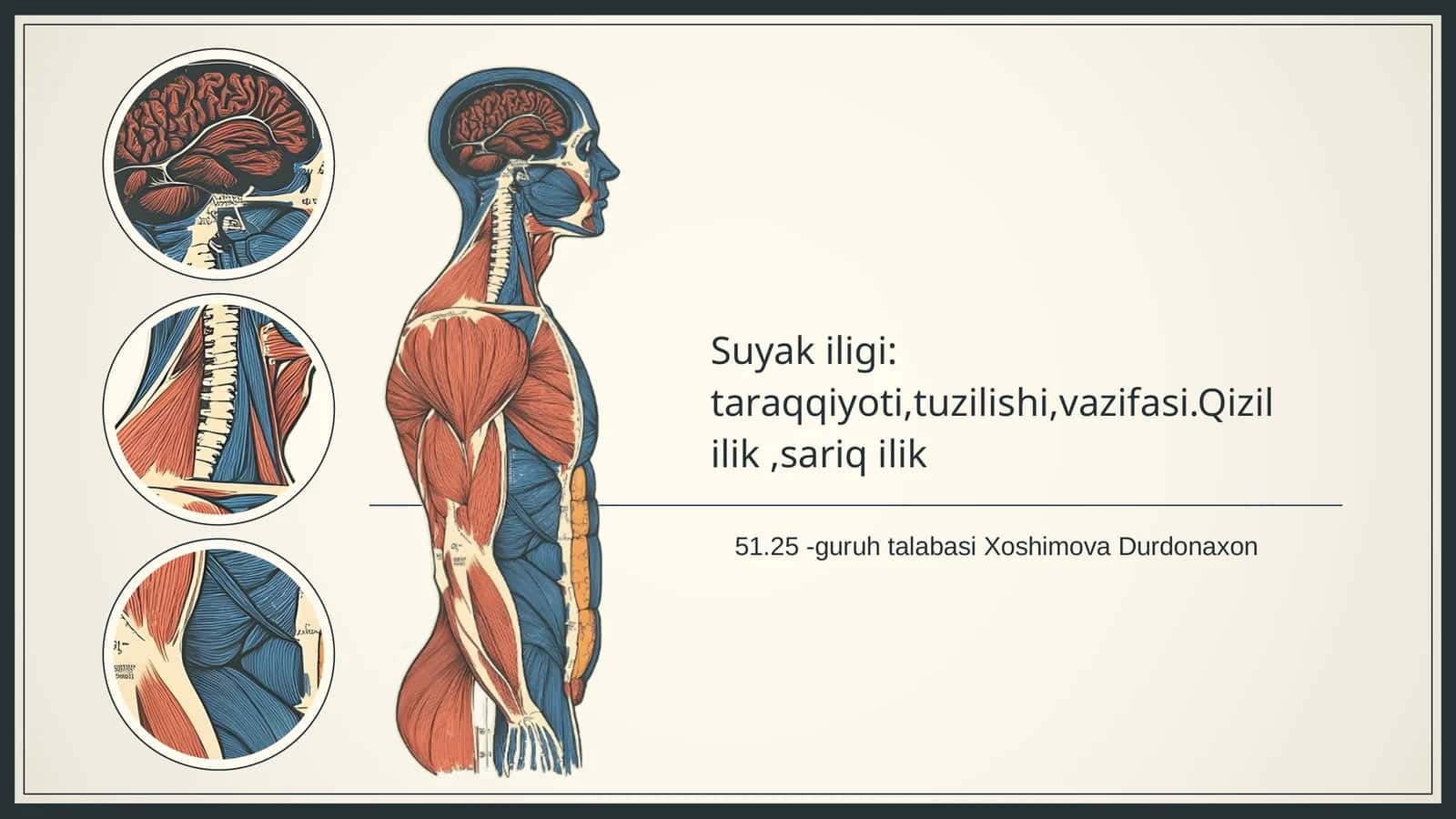 Suyak iligi tahlili 1
