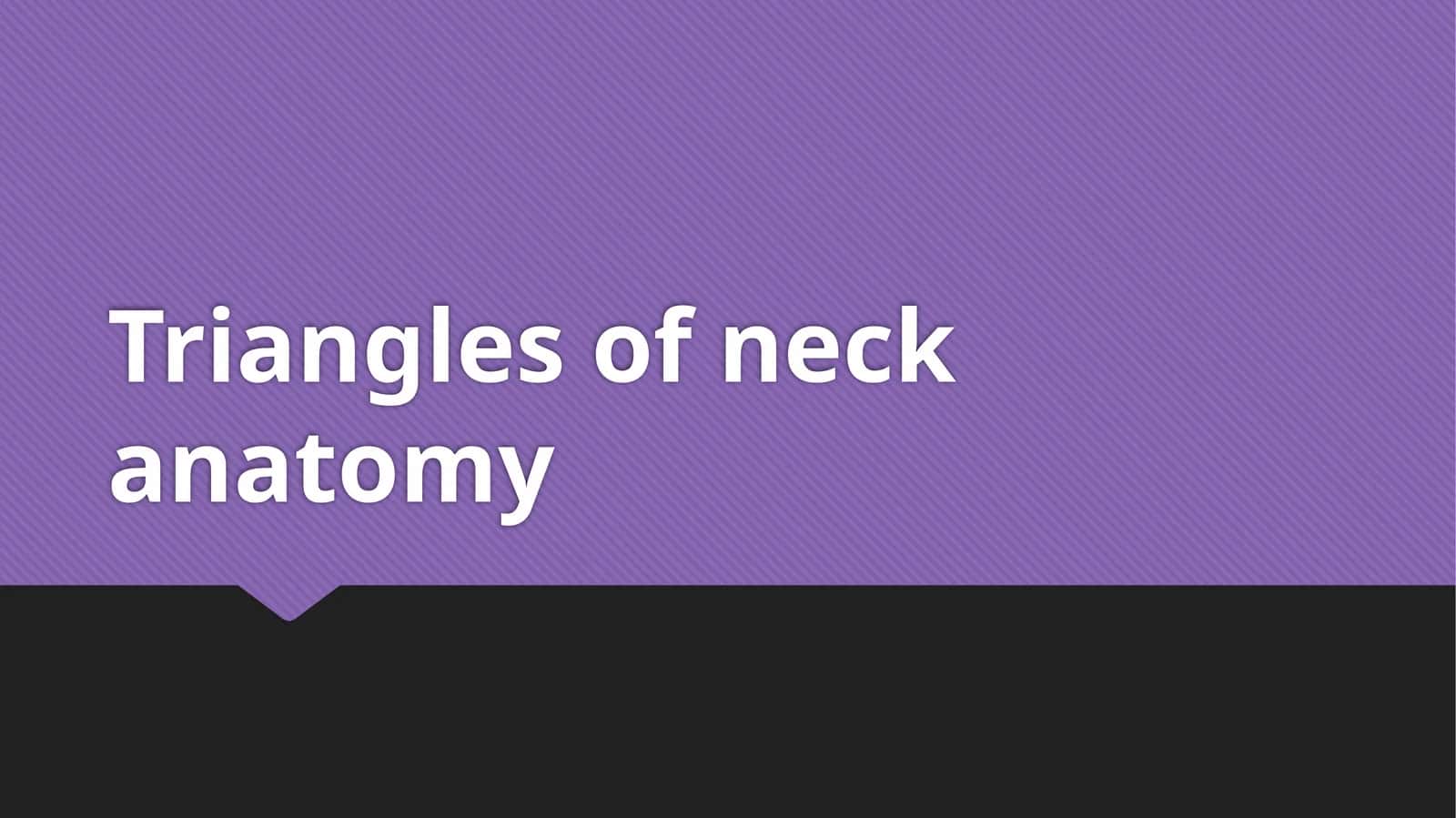 Triangles of neck anatomy 1