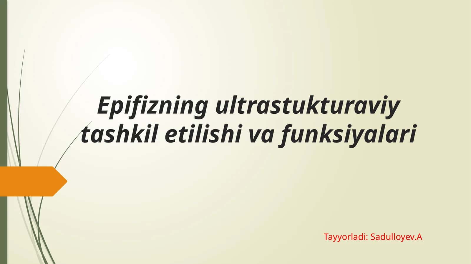 Epifizning ultrastukturaviy tashkil etilishi va funksiyalari.pptx 1
