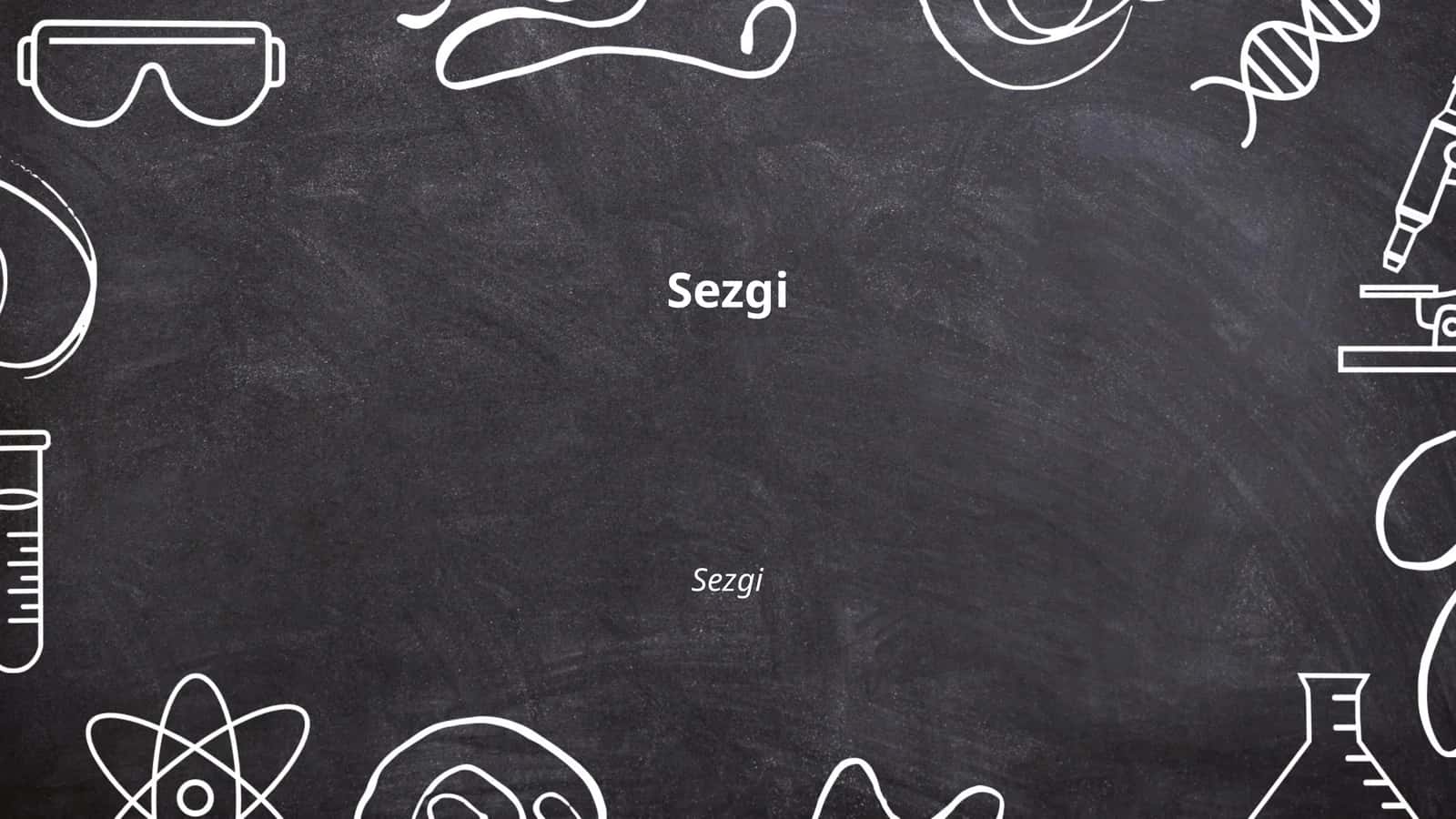 Sezgi 1