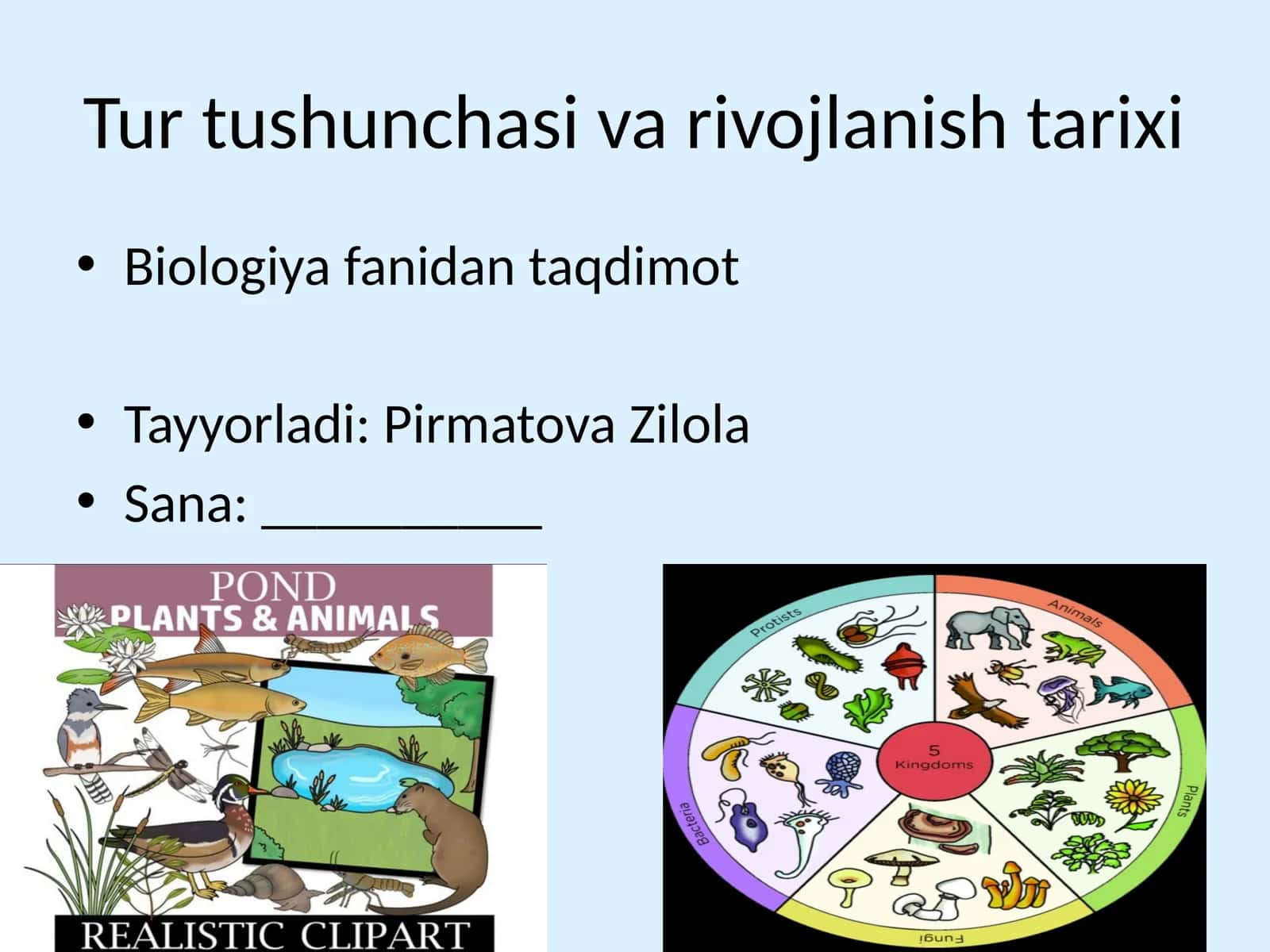Tur tushunchasi va rivojlanish tarixi 1