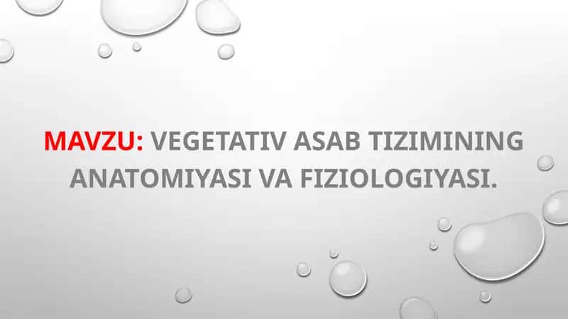 Vegetativ asab tizimining anatomiyasi va fiziologiyasi. 1