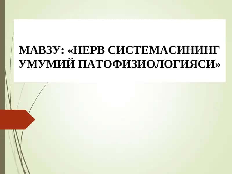 НЕРВ СИСТЕМАСИНИНГ УМУМИЙ ПАТОФИЗИОЛОГИЯСИ 1